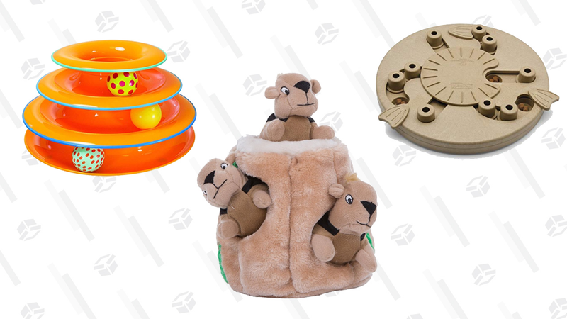 Gold Box de Outward Hound para mascotas | AmazonGráfico: Chelsea Stone